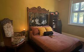 Le Salon Des Inconnus